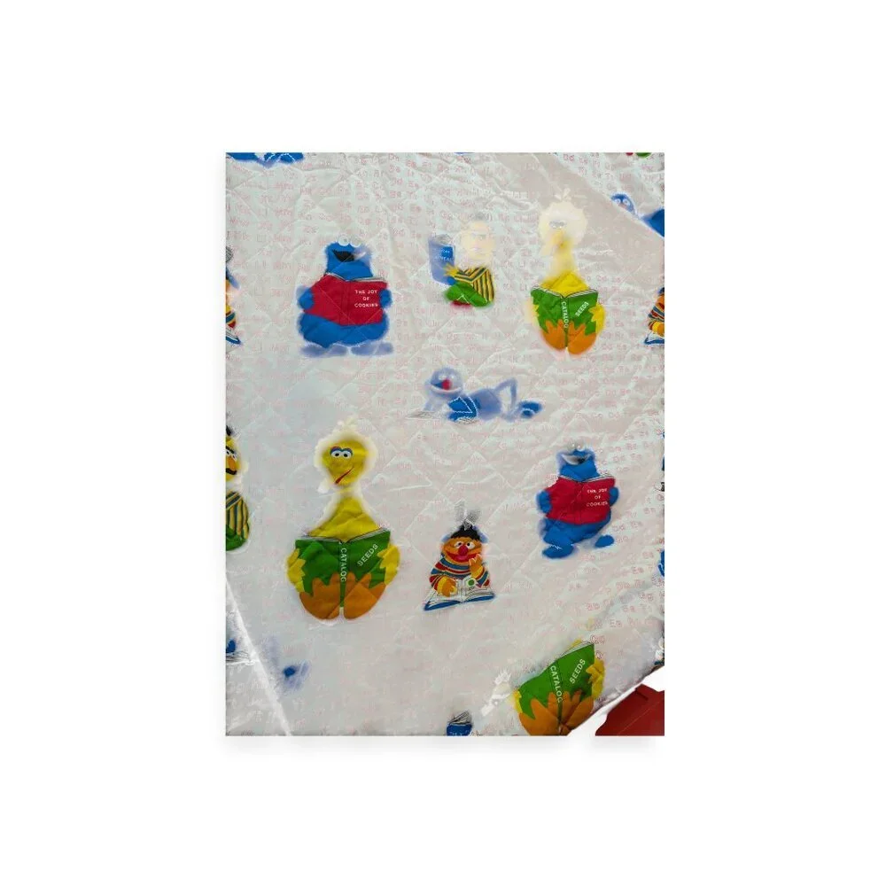 Vintage Burlington Ind. Sesame Street Quilted Blanket Rare 107
